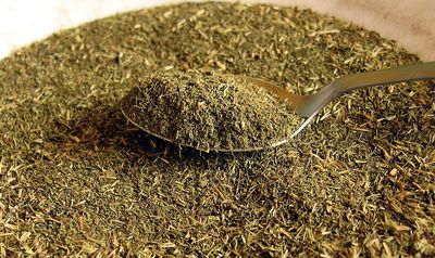 Stevia sucre wiki pedia