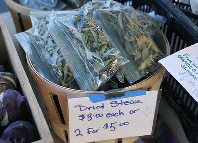 feuille de stévia sec