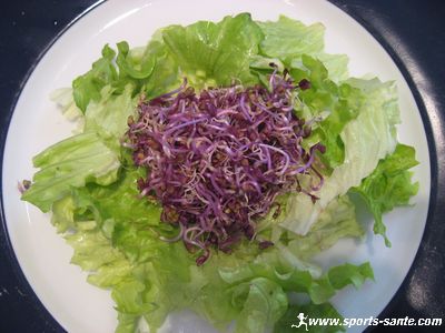 Manger du chou rouge Bio