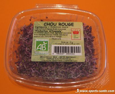 Consommer des jeunes pousses de chou rouge Bio. C'est bon pour la santé et pour les papilles !