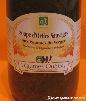 Ortie sauvage comestible