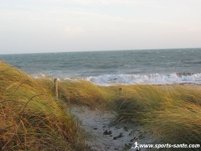 Photo des oyats sur la côte de Fouesnant