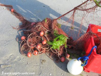 Photo du filet à son retour de pêche.