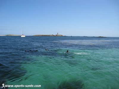 Image de snorkeling aux Glénan
