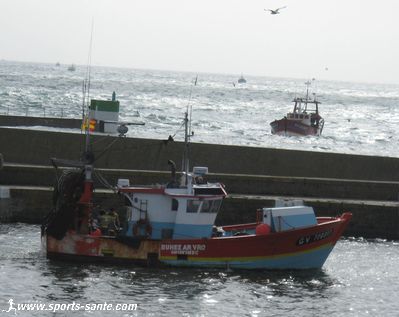 Photo du retour des côtiers au port du Guilvinec en Bretagne