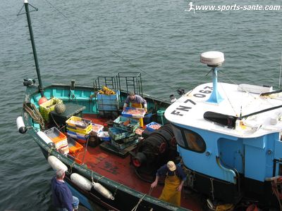 Photo du déchargement du poisson sur le quai du Guilvinec