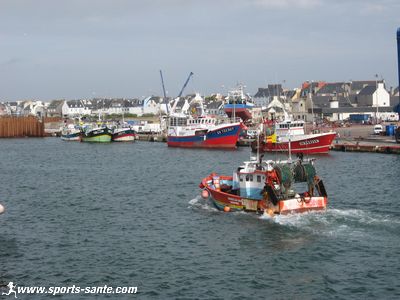 Photo du port du Guilvinec