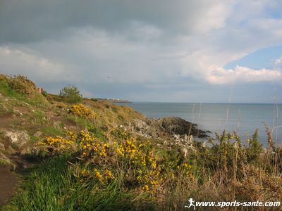 Photo de la lande côtière à Moëlan sur Mer en Finistère