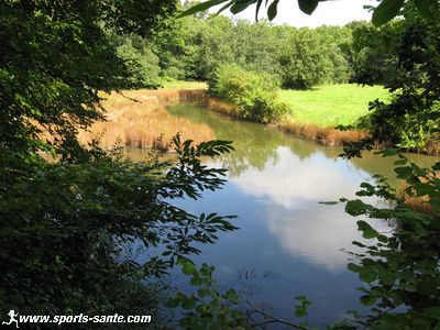 Photo du marais de Fouesnant en Bretagne