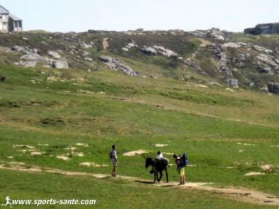 Photo de randonneurs à dos d'âne, pointe de Penhir