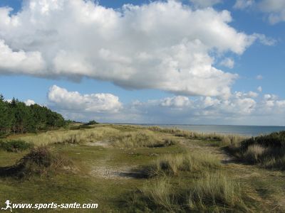 Photo de dune couverte d'oyats