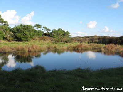 Photo du marais