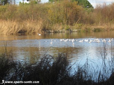 Photo d'un polder