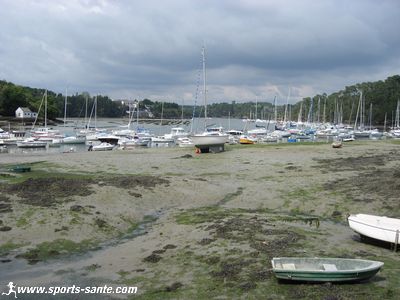 Photo du port du Bélon à marée basse.