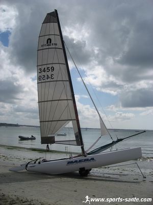 Photo de cata Nacra
