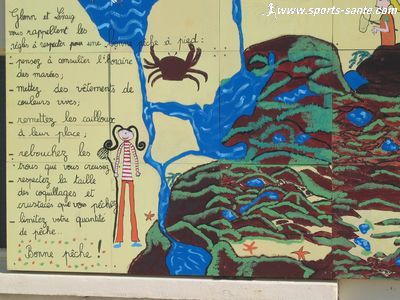 Affiche conseil pour pêcheurs à pieds