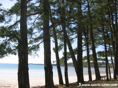 Découverte des paysages par les sentiers côtiers de Fouesnant (Finistère) en Bretagne