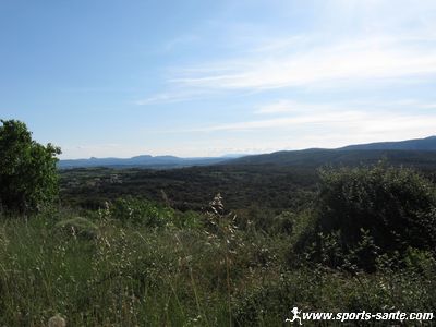 Photo de la garrigue autour de Puechabon