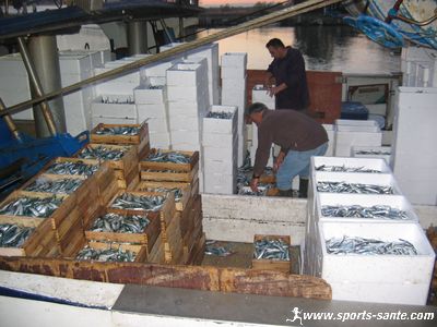 Déchargement du poisson au Graudagde