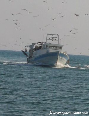 Photo de bateau rentrant au port