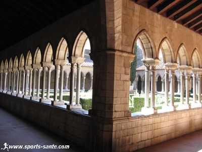 Photo du Cloître du monastère bénédictin d'Arles sur Tech