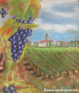 Tableau grappe et village de l'Hérault