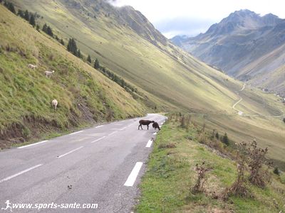 Photo de la descente du Tourmalet côté Ouest