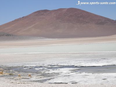 Des lagunes andines de Bolivie jusqu'à la frontière du Chili