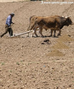 Photo d'un paysan des Andes de Bolivie