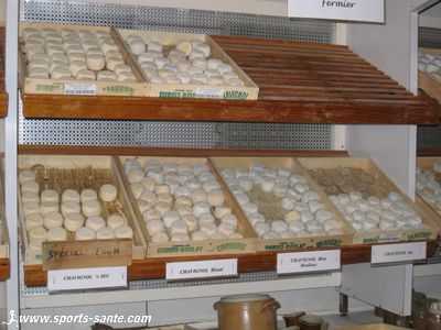 Photo de crottins de Chavignol