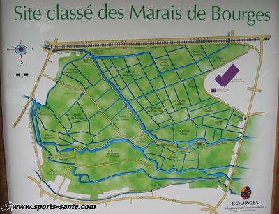 Découverte des marais de Bourges