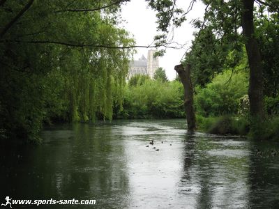 Photo de la cathédrale de Bourges depuis les marais