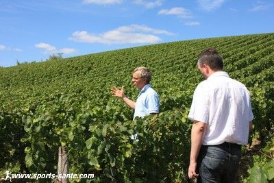 Photo de coteau de vignes