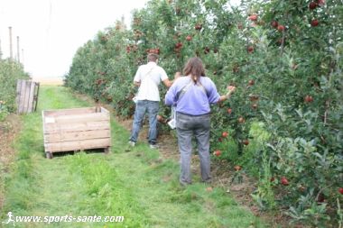 Photo de cueilleurs de pommes