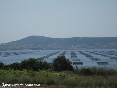 Photo des parc à huîtres et à moules à Bouzigues.