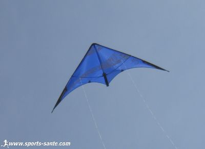 Photo du cerf volant WClic Tatoo
