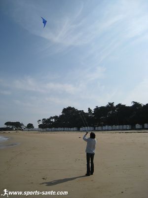 Photo de cerf volant en vol