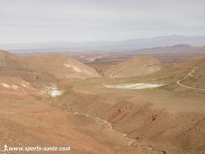 Les oasis de Quitor Castana dans le désert d'Atacama Chili