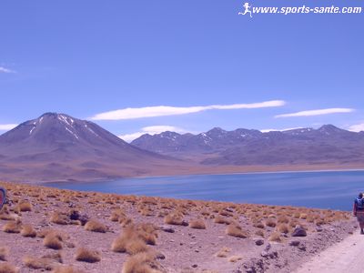 Lagunes Miniques et Miscanti de l'Altiplano au Chili