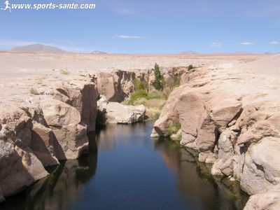 Photo d'une oasis près de Toconao Désert d'Atacama Chili