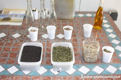 Photo des produits du colza