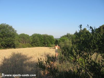 Photo de la garrigue à Montblanc dans l'Hérault