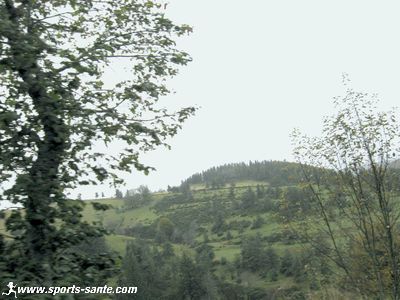 vue de la nature sauvage sur le plateau de l'Ardèche