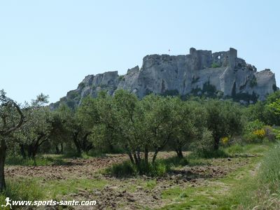 Photo des Baux de Provence depuis la route de Saint-Rémi de Provence 