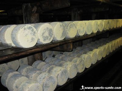Photo de fromages de Roquefort Papillon à l'affinage