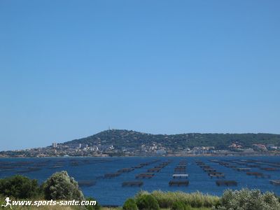 Vue des tables et des parcs à huitres sur l'Etang de Thau
