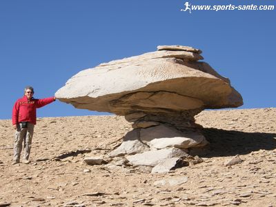 Photo champignon de pierre du désert de Siloli Bolivie