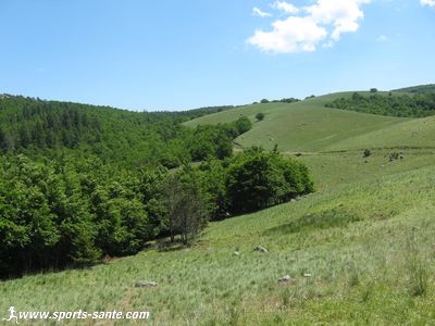 Photo de vallons sur la route de l'Aigoual.