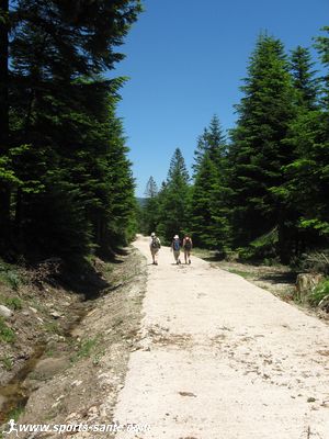 Promenade Randonnée au lac des Pises dans le Gard Région Languedoc Roussillon