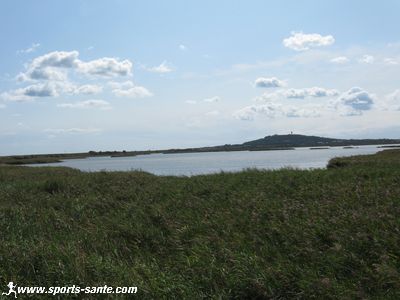 Randonnée autour des étangs de Bagnas entre Agde et Marseillan dans l'Hérault